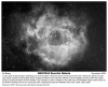 rosetta nebula
