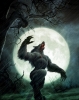 werewolf / #148190