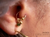 tragus piercing / #148765