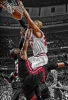 taj gibson / #151453