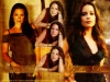 holly marie combs / #184798