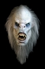 yeti