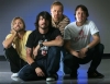 foo fighters / #151597