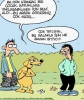 kız tavlamak için gezdirmelik köpek / #175800
