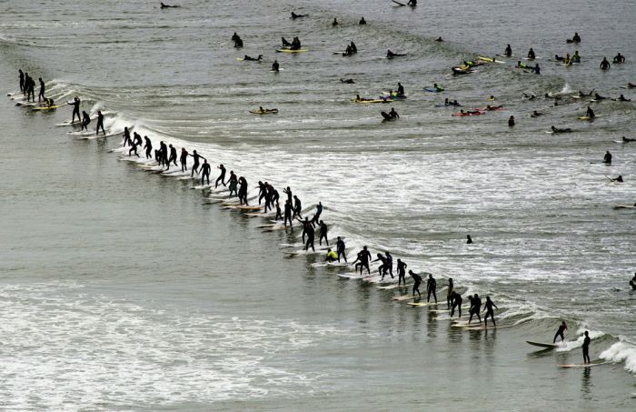 surf