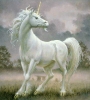 unicorn