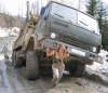 kamaz / #169260