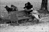 kör tuttuğunu topal yakaladığını / #161027