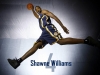 shawne williams