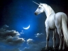 unicorn / #162744