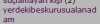 yerdekibeskurusualanadam / #184613