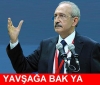 yıldız tilbe nin muhabire orospu demesi / #161056