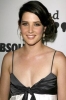 cobie smulders